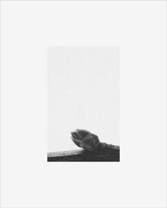 © 2025 PHOTO BY PAVEL NEMTIN