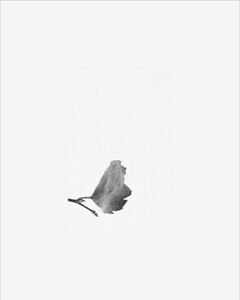 © 2025 PHOTO BY PAVEL NEMTIN