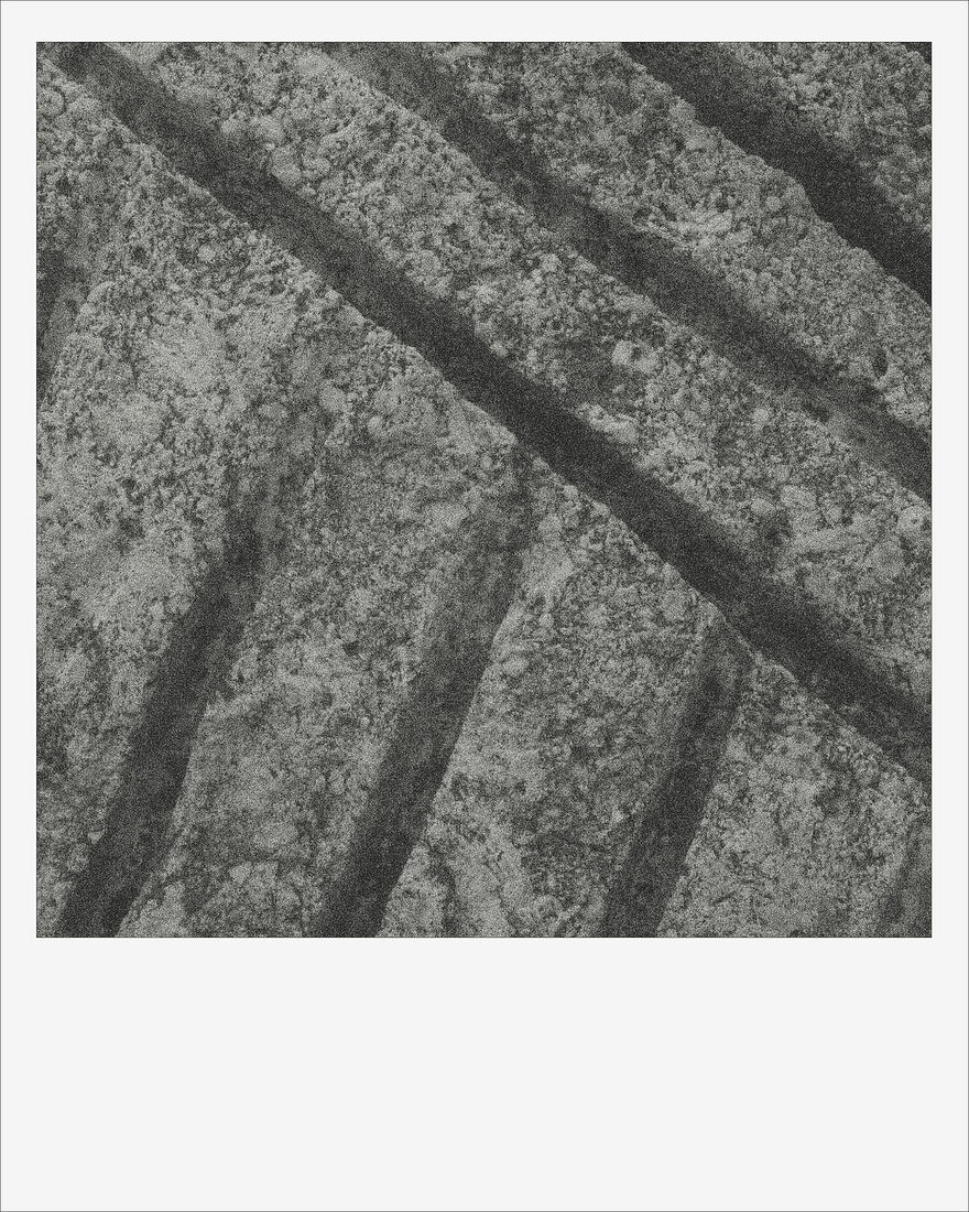 © 2024 ALL PHOTOS BY PAVEL NEMTIN / ФОТОГРАФИИ ПАВЛА НЕМТИНА