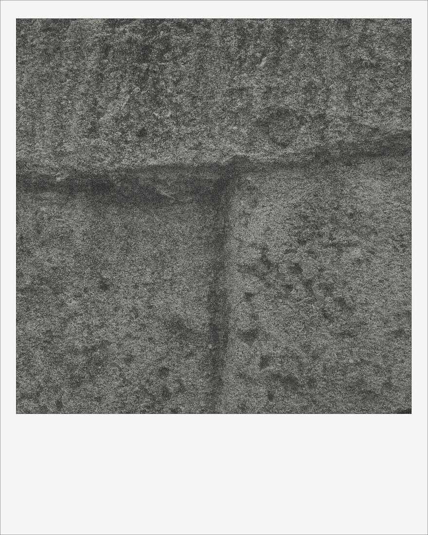 © 2024 ALL PHOTOS BY PAVEL NEMTIN / ФОТОГРАФИИ ПАВЛА НЕМТИНА