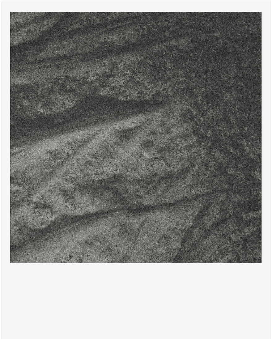 © 2024 ALL PHOTOS BY PAVEL NEMTIN / ФОТОГРАФИИ ПАВЛА НЕМТИНА