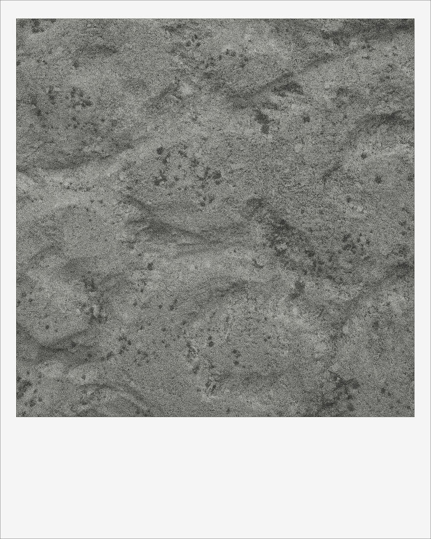 © 2024 ALL PHOTOS BY PAVEL NEMTIN / ФОТОГРАФИИ ПАВЛА НЕМТИНА