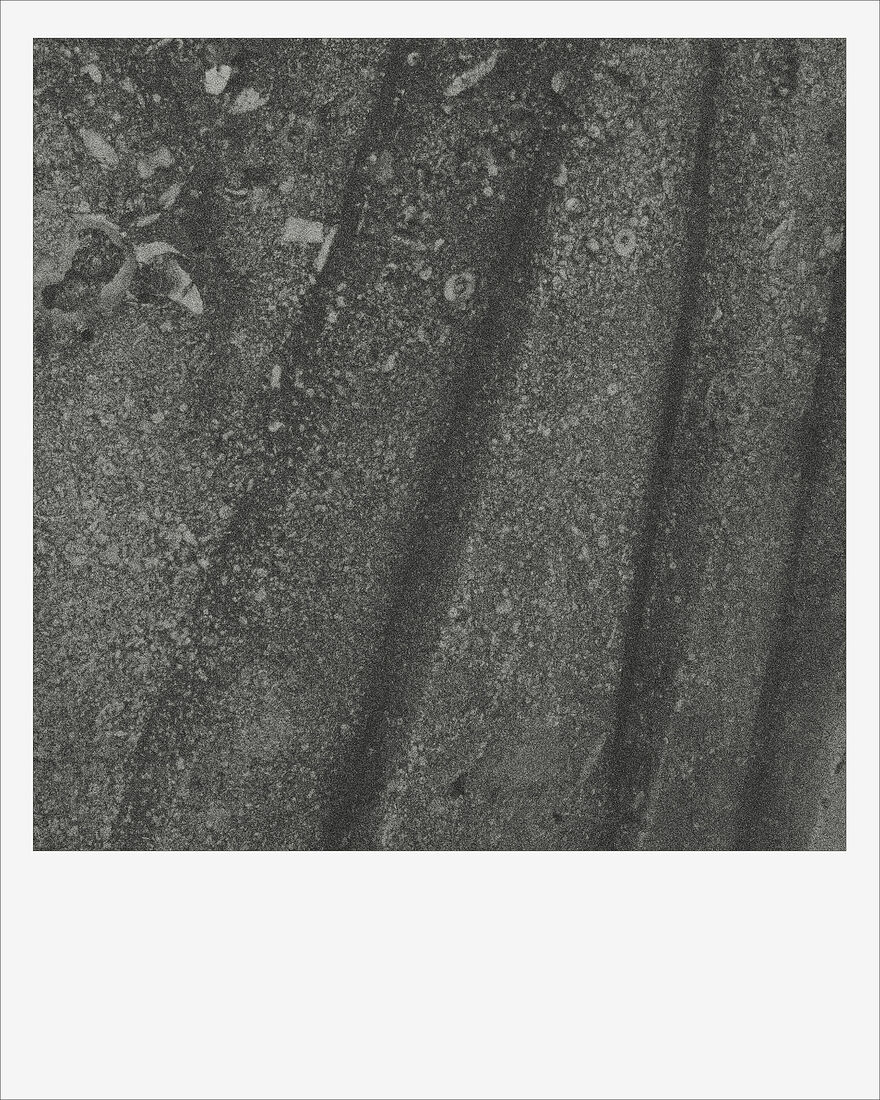 © 2024 ALL PHOTOS BY PAVEL NEMTIN / ФОТОГРАФИИ ПАВЛА НЕМТИНА