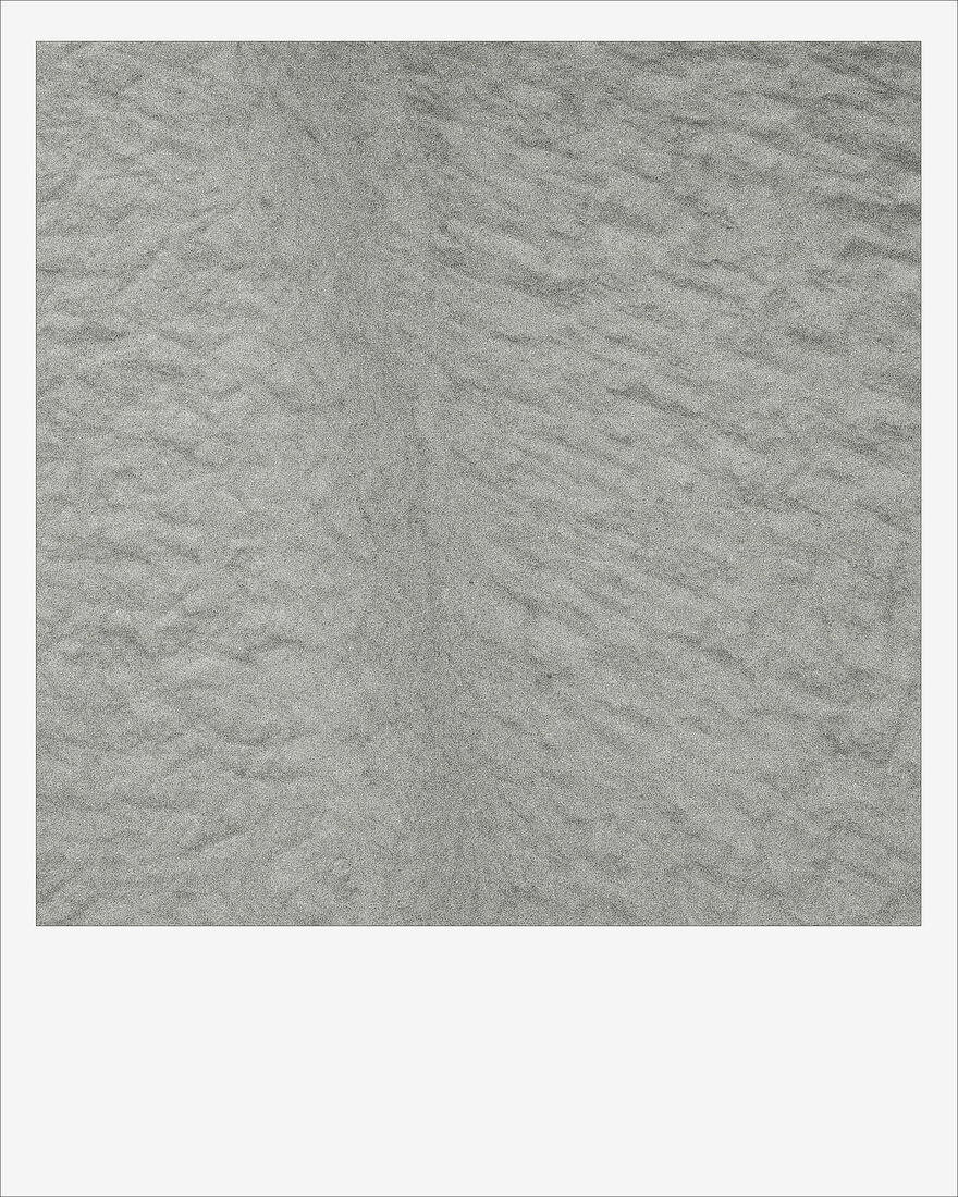 © 2024 ALL PHOTOS BY PAVEL NEMTIN / ФОТОГРАФИИ ПАВЛА НЕМТИНА