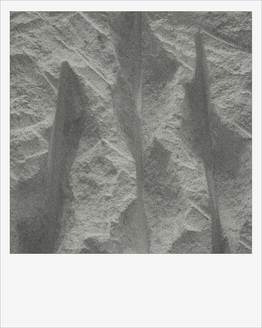 © 2024 ALL PHOTOS BY PAVEL NEMTIN / ФОТОГРАФИИ ПАВЛА НЕМТИНА