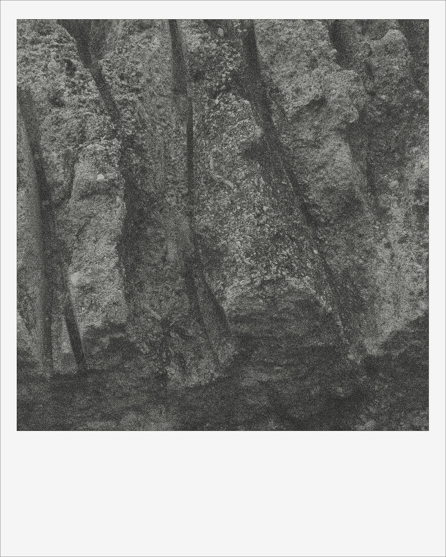 © 2024 ALL PHOTOS BY PAVEL NEMTIN / ФОТОГРАФИИ ПАВЛА НЕМТИНА