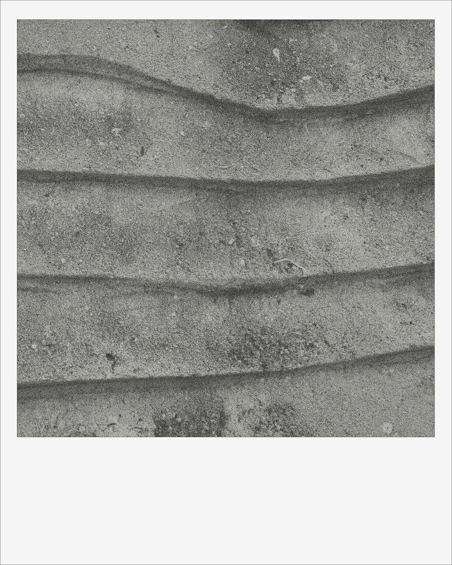 © 2024 ALL PHOTOS BY PAVEL NEMTIN / ФОТОГРАФИИ ПАВЛА НЕМТИНА