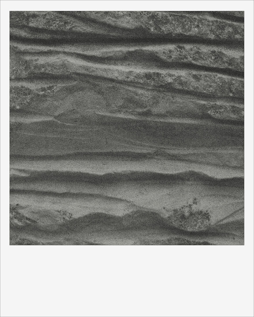 © 2024 ALL PHOTOS BY PAVEL NEMTIN / ФОТОГРАФИИ ПАВЛА НЕМТИНА