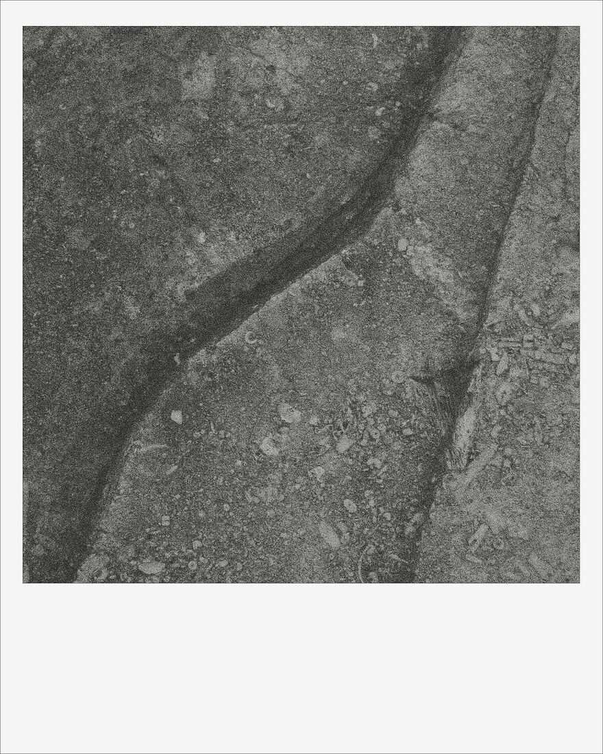 © 2024 ALL PHOTOS BY PAVEL NEMTIN / ФОТОГРАФИИ ПАВЛА НЕМТИНА