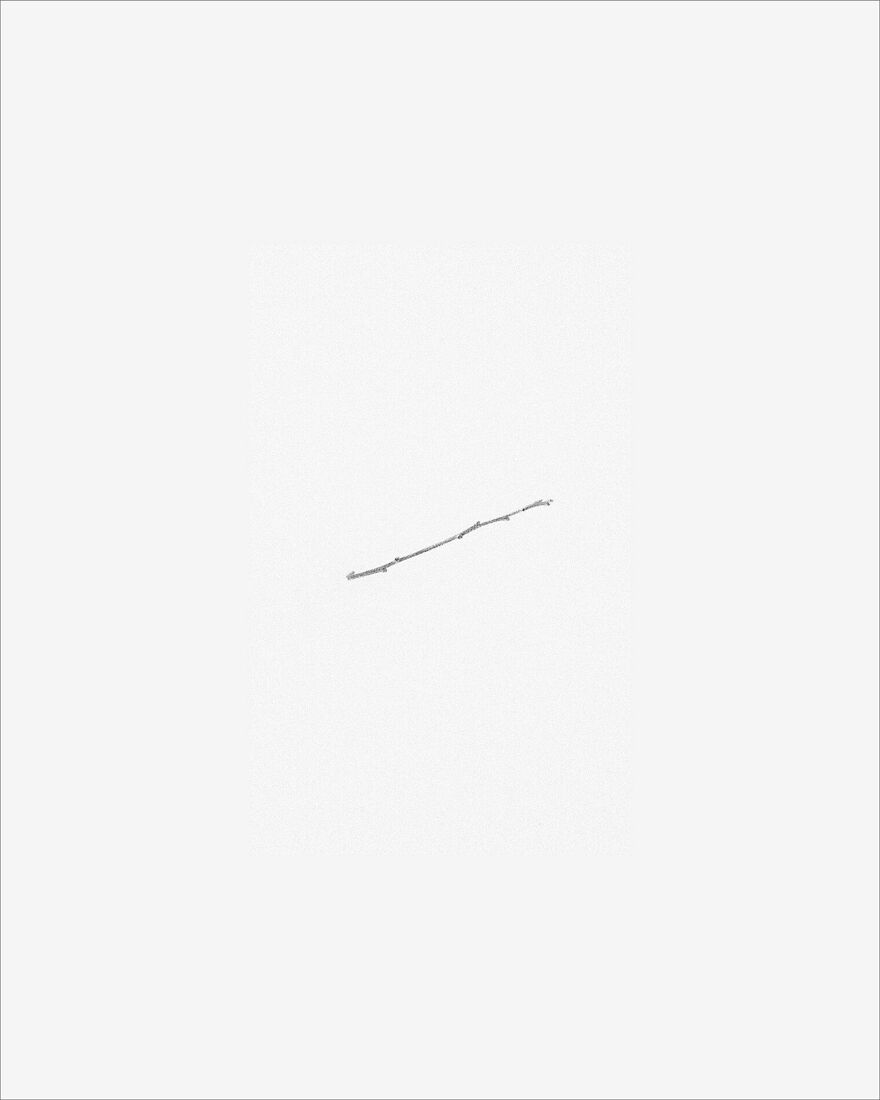 © 2025 PHOTO BY PAVEL NEMTIN