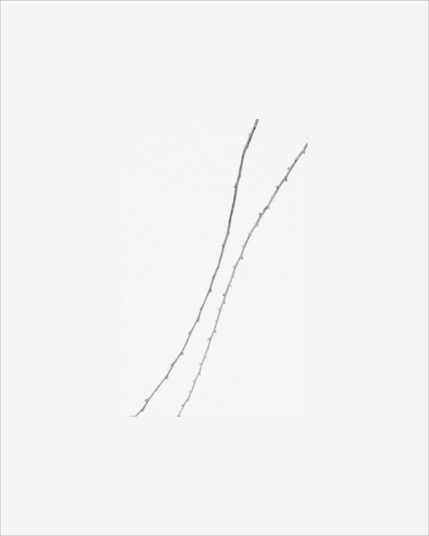 © 2025 PHOTO BY PAVEL NEMTIN