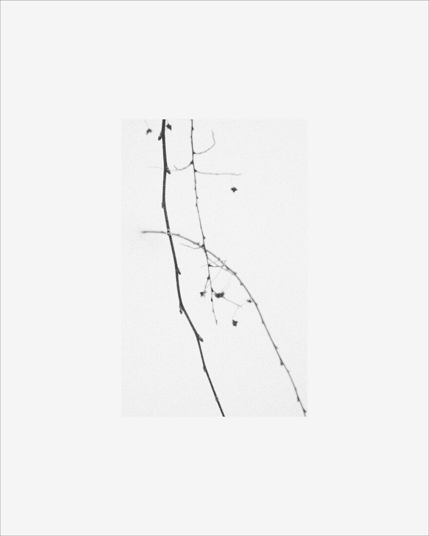 © 2025 PHOTO BY PAVEL NEMTIN