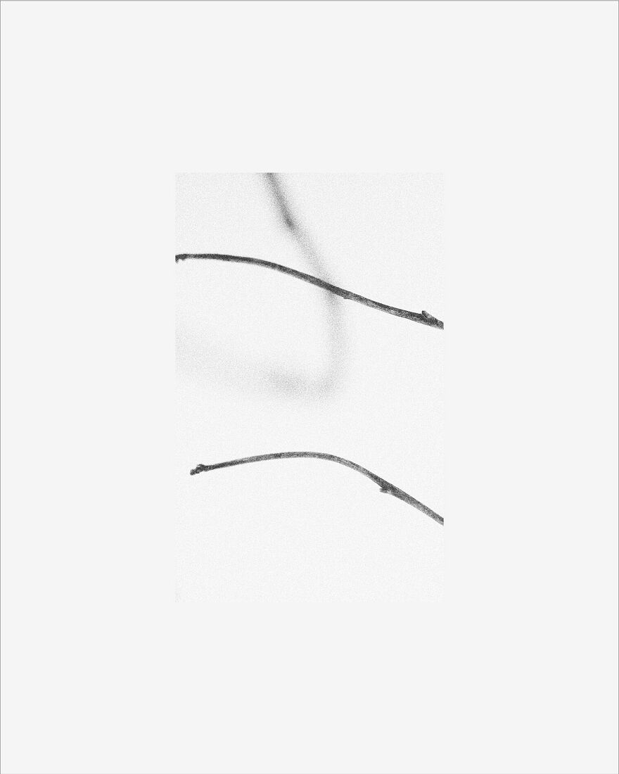 © 2025 PHOTO BY PAVEL NEMTIN