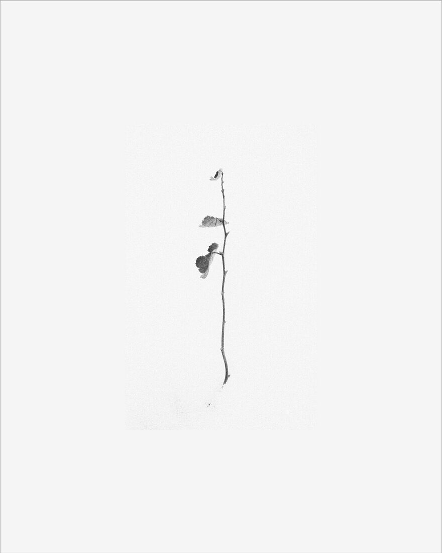 © 2025 PHOTO BY PAVEL NEMTIN