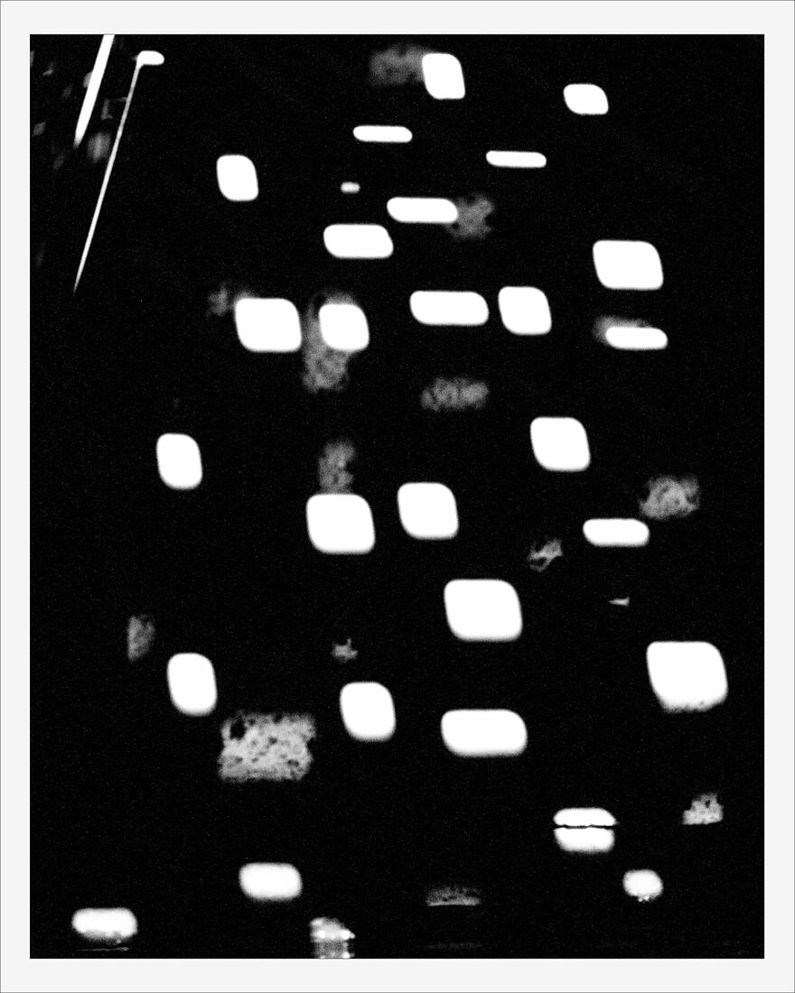 © 2025 ALL PHOTOS BY PAVEL NEMTIN / АВТОР ФОТОГРАФИЙ ПАВЕЛ НЕМТИН