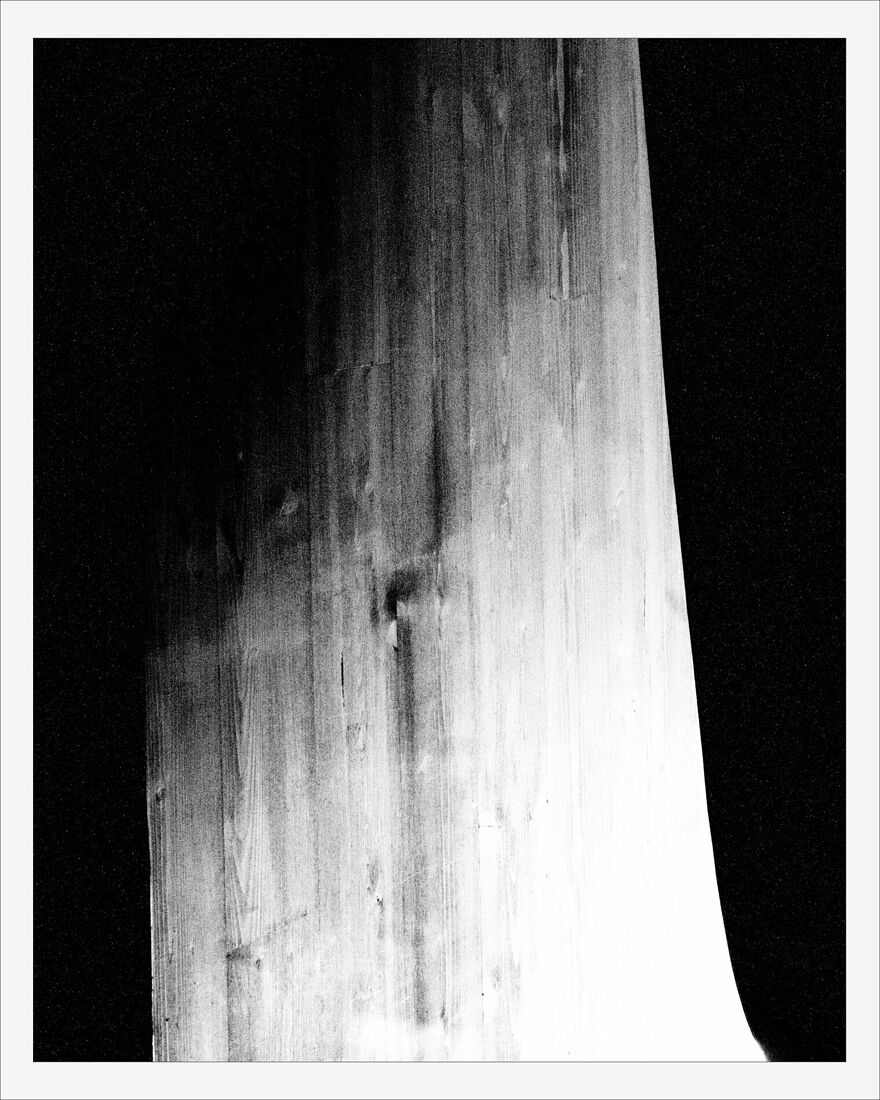 © 2025 ALL PHOTOS BY PAVEL NEMTIN / АВТОР ФОТОГРАФИЙ ПАВЕЛ НЕМТИН