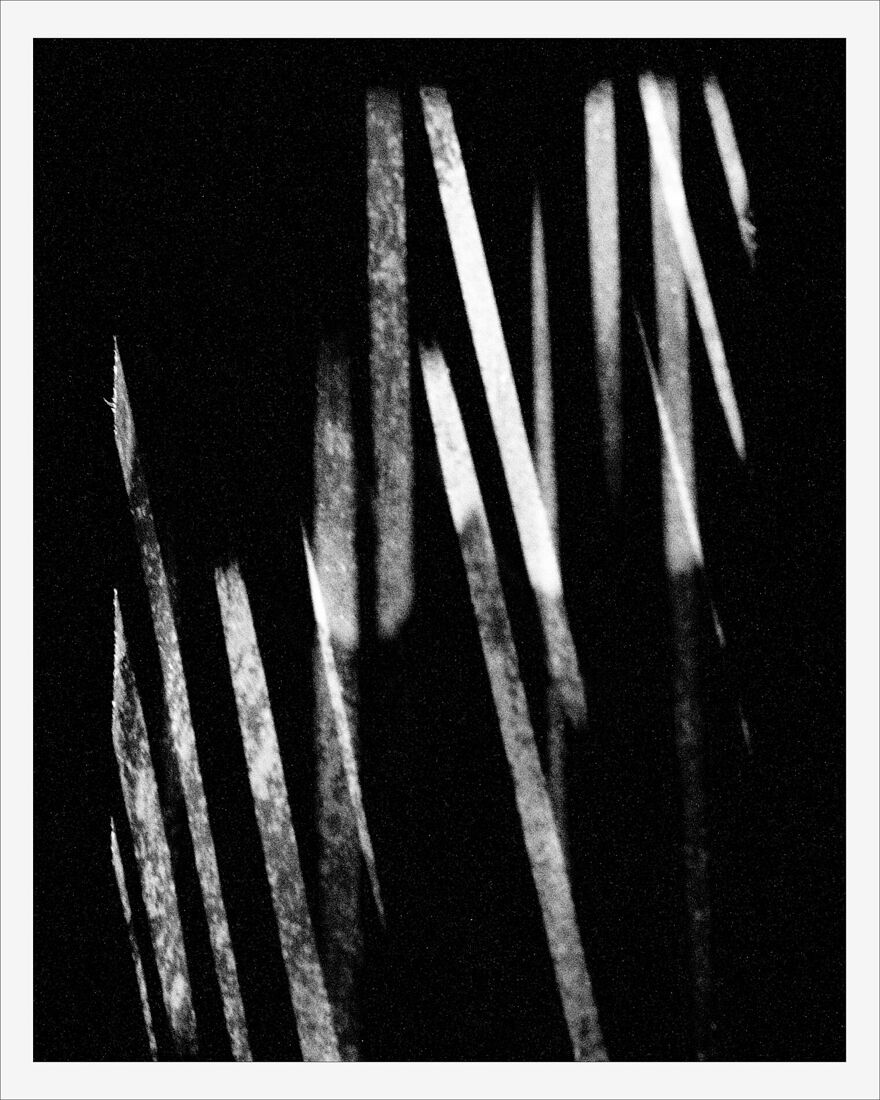 © 2025 ALL PHOTOS BY PAVEL NEMTIN / АВТОР ФОТОГРАФИЙ ПАВЕЛ НЕМТИН